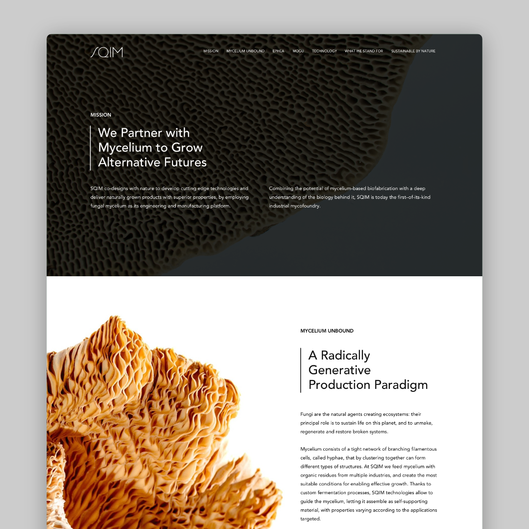 immagine della notizia