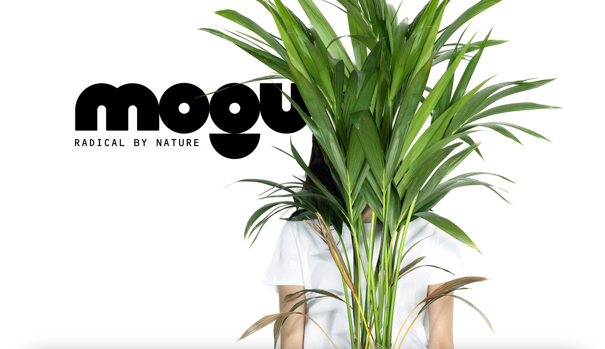 Muvobit homepage sito web mogu